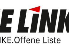 Die_LINKE.Offene_Liste__logo_bg_97c7f7e721.png